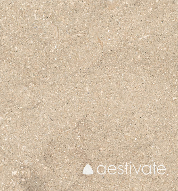 FL14215XXX_Kalksteinfliesen-Grey-Oliva-Grigio-Olivo-geschliffen_1-with-Logo-1.jpg