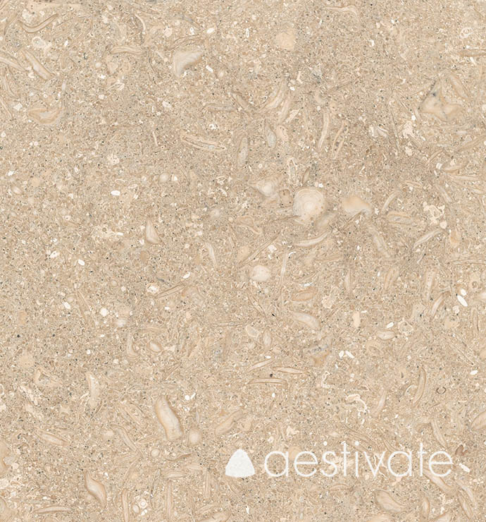 FL14256XXX_Kalksteinfliesen-Grey-Oliva-Grigio-Olivo-gebuerstet_2-with-logo-1.jpg