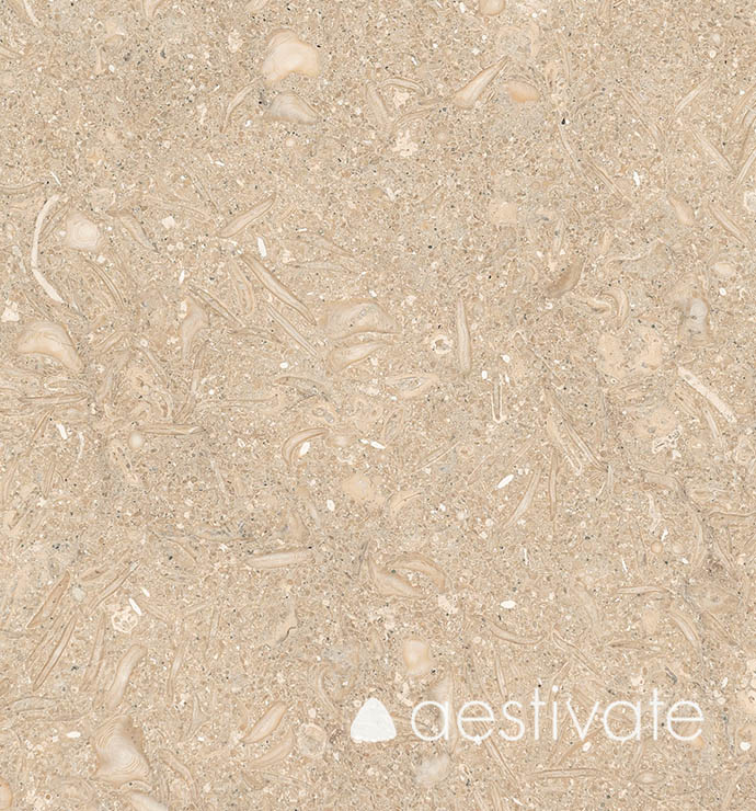 FL14256XXX_Kalksteinfliesen-Grey-Oliva-Grigio-Olivo-gebuerstet_4-with-logo-1.jpg