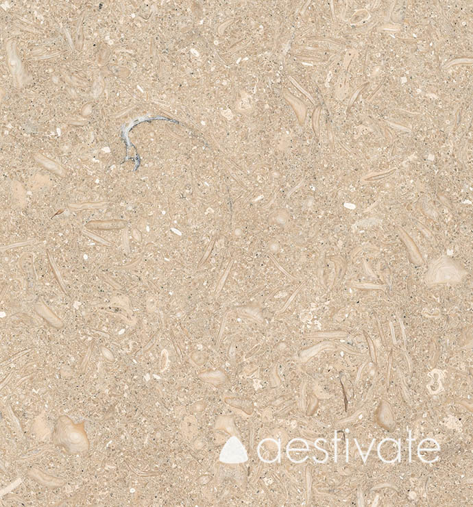 FL14256XXX_Kalksteinfliesen-Grey-Oliva-Grigio-Olivo-gebuerstet_5-with-logo-1.jpg
