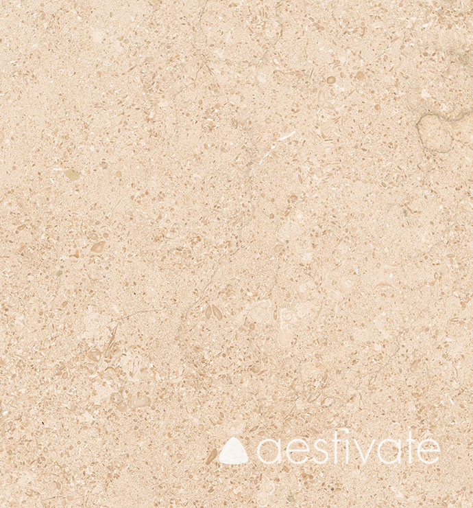 FL14356XXX_Kalksteinfliesen-Beige-Oliva-Grolla-Beige-gebuerstet_1-with-logo-1.jpg