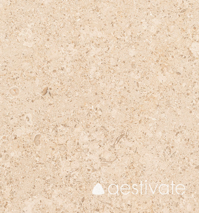 FL14356XXX_Kalksteinfliesen-Beige-Oliva-Grolla-Beige-gebuerstet_5-with-logo-1.jpg