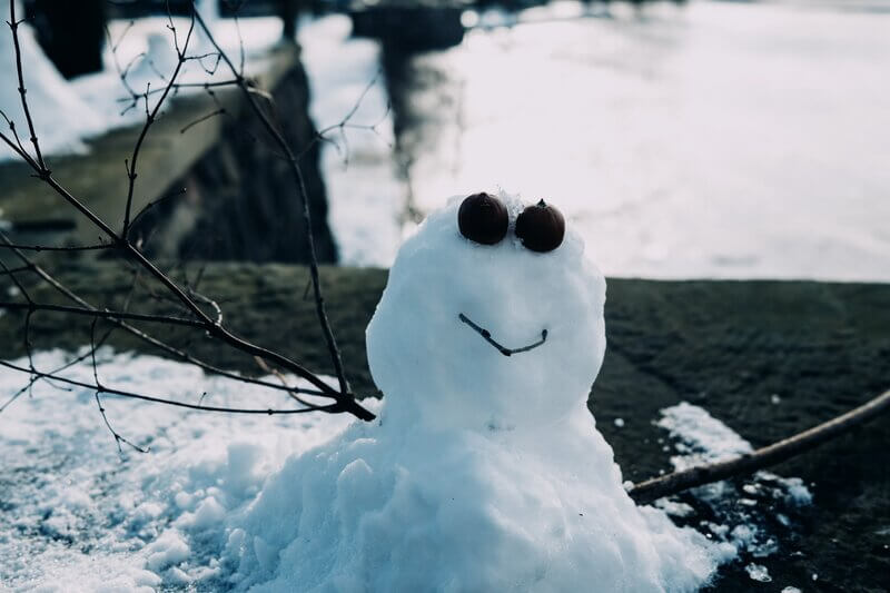 Eisfrei im Winter aestivate